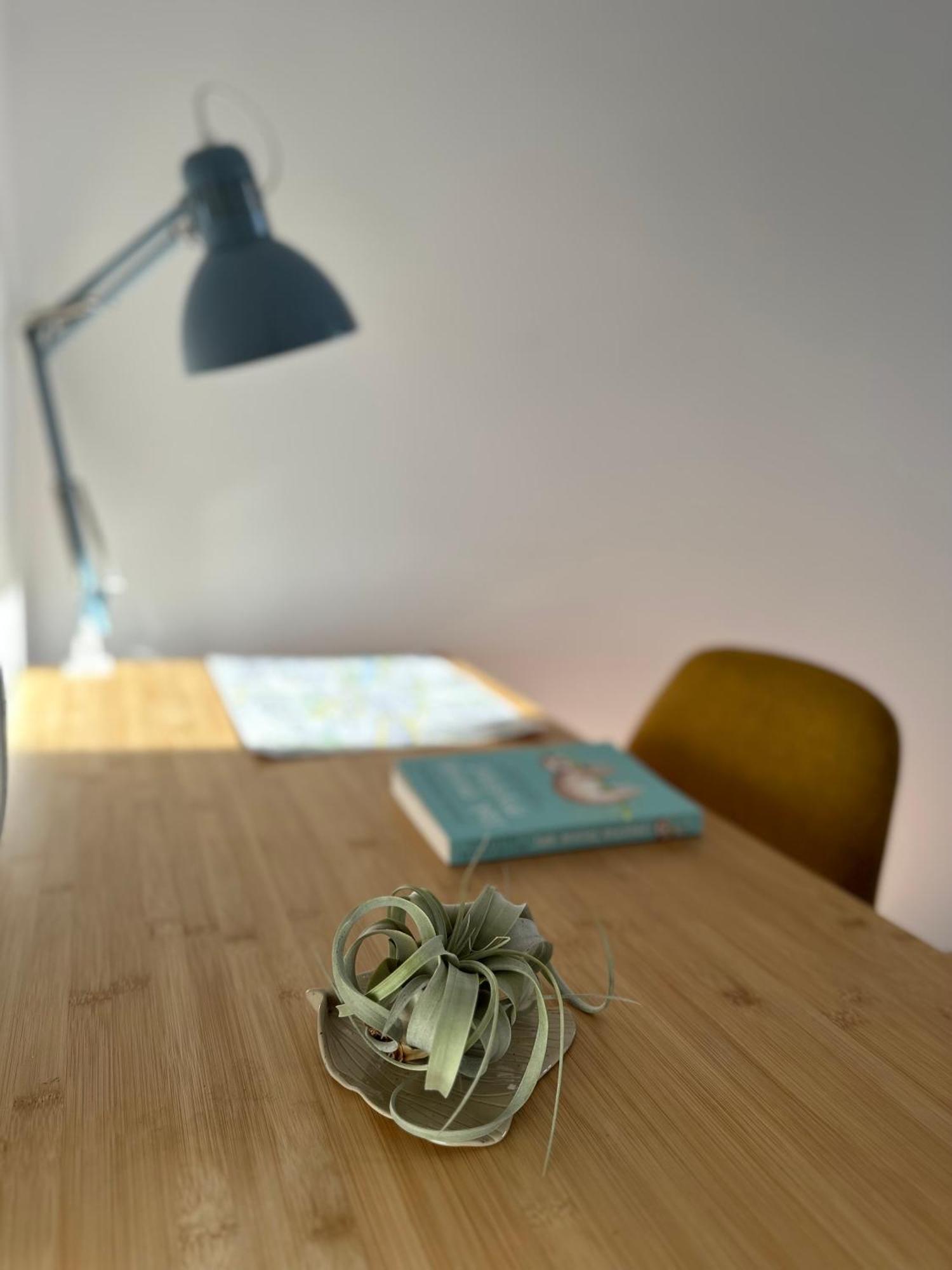 Cilantro Przy Starym Rynku Apartment *